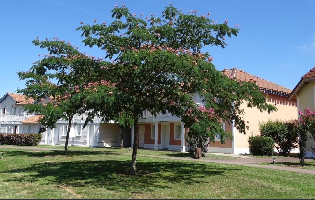 Appartement Au Calme Face Au Lac Marciac Dış mekan fotoğraf